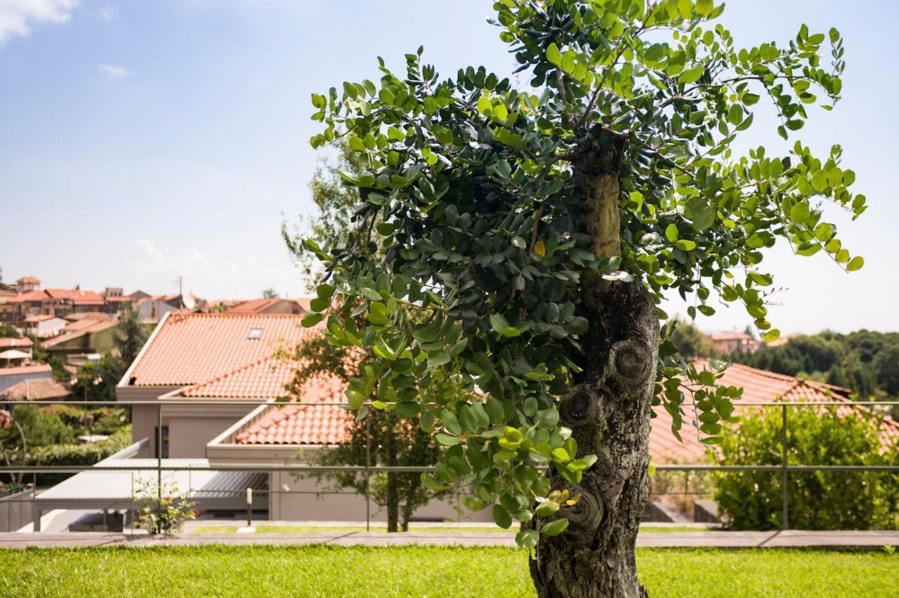 Casa Vacanza Etna Dream Zafferana Etnea Kültér fotó